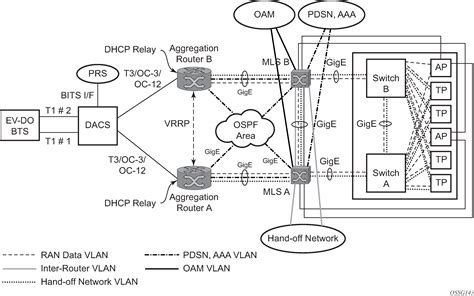 Sample Aps Application Mlppp With Sc Aps And Mc Aps On Channelized