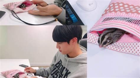 Kim Seok Jin And His Sugar Gliders Eomuk And Odengie Sugar Glider