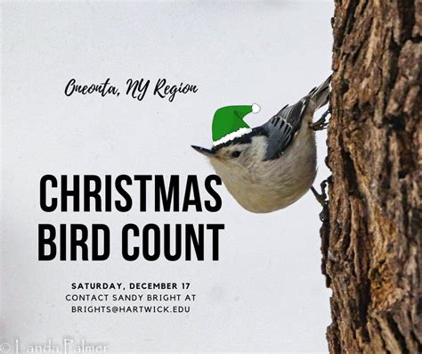 Oneonta Area Christmas Bird Count 2022 Delaware Otsego Audubon Society