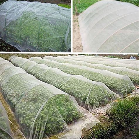 Garden Insect Netting Amazon 12m X 50m Green Fine Mesh Insect Mesh