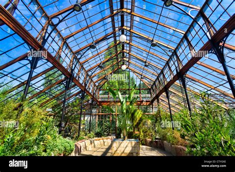 Greenhouse Of The Botanical Garden Of The University Of Cambridge Stock
