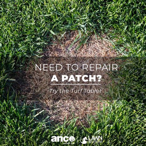 Take proactive action against the problems that lead to stressed or dead grass. Turf Tablet, Lawn & Buffalo Grass Melbourne, Geelong | Turf, Lawn turf, Lawn maintenance