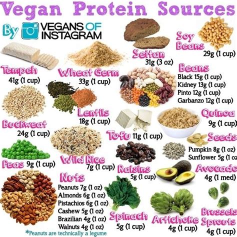 Vegetarian protein sources for children. Protein Sources in a Vegan diet. | Food Exposed