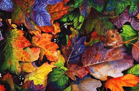 Stunning Wildlife Art By Peter Williams Jacksons Art Blog