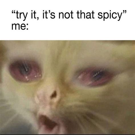 I Can Take Spicy Food Just Thought It Was A Funny Meme Meme By