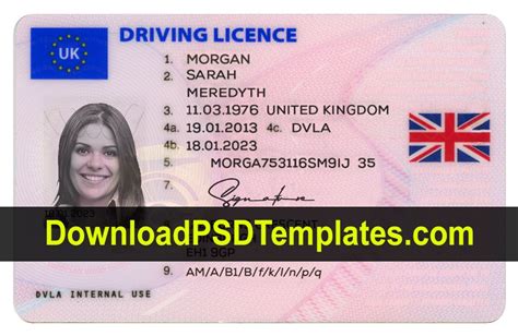 Pin By Daenerys Baccay On Templates In 2020 Driving License