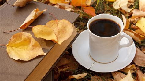 4k Coffee Autumn Wallpapers High Quality Download Free