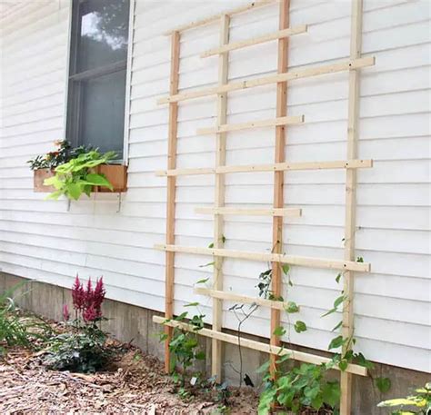 21 Innovative And Easy Diy Garden Trellis Ideas Gardenoid