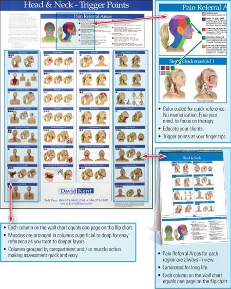 Trigger Point Wall And Flip Charts Pressure Points Chart Pressure Point Therapy Trigger Point