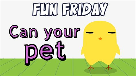 Alibaba.com offers 2,447 fur pets toys products. Fun Friday - Can Your Pet - Derpybird - YouTube