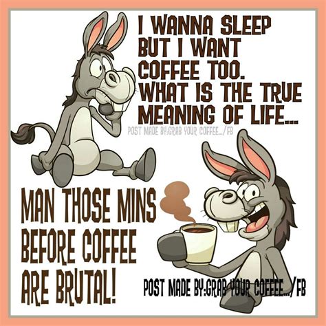 Funny Coffee Quotes Coffee Humor Funny Quotes Funny Memes I Love