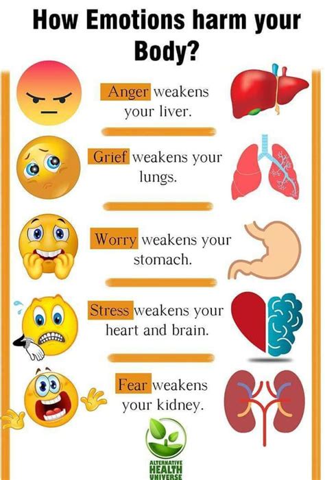 emotions and organs medizzy