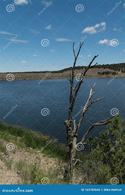 Vertical Quemado Lake Central New Mexico Stock Photo Image Of