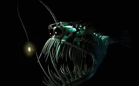 Free Download Anglerfish Fish Ocean Sea Underwater Dark Creepy Monster