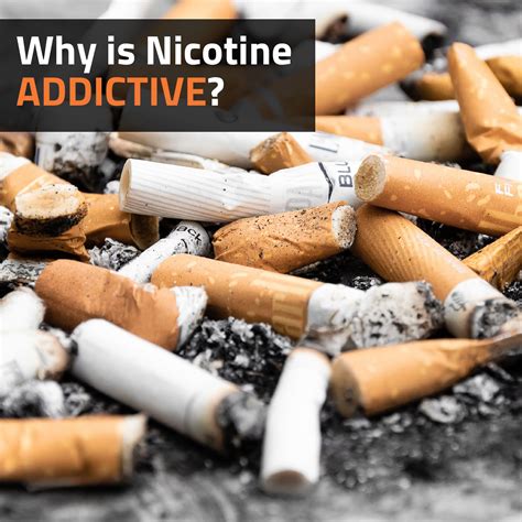 Why Is Nicotine Addictive Vaperite