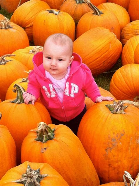 Cops said no one was injured, according to ctv news in canada. Tom Brown's Pumpkin Patch Kids | CTV News