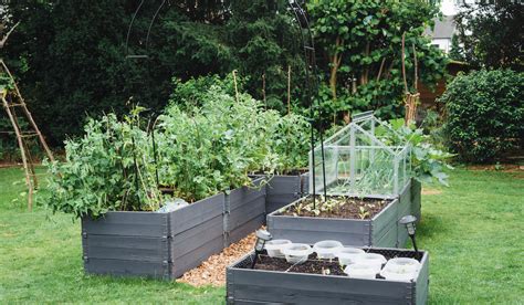 Tips For Painting Raised Garden Beds Farmhouse Guide