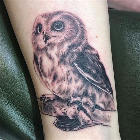 50 Amazing Small Owl Tattoo Ideas 2024 Inspiration Guide Owl Tattoo