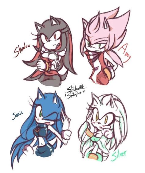 Amy Sonic Shadow And Silver Gender Bender