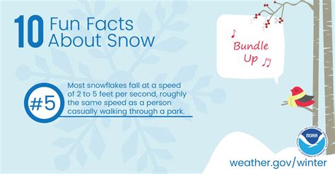 10 Fun Facts About Snow Weathernation