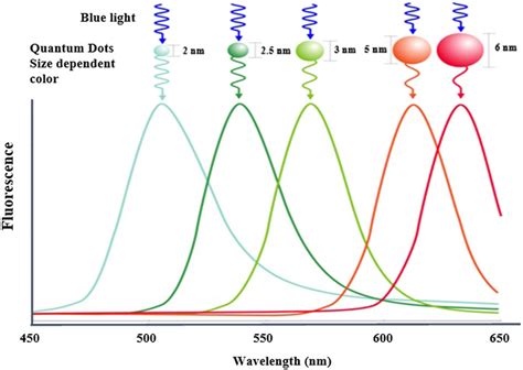 Quantum Dots Synthetization And Future Prospect Applications