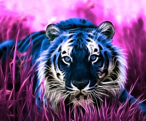 Purple Tiger Wallpaper Tiger Pictures Tiger Images