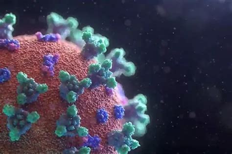 محققان دلیل اصلی مرگبار بودن ویروس کرونا را کشف کردند استتار