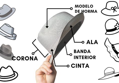 Tipos De Sombreros Guía Visual Capland Iluro Sl