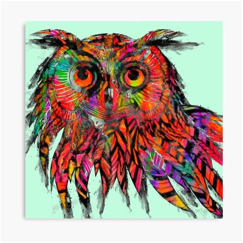 Colorful Owl Drawing Canvas Print By Nora Gad Owls Drawing Colorful