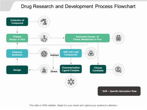Drug Development Process Flowchart