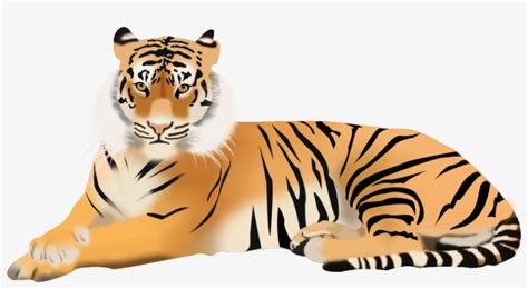 Tiger Clipart Clipart Stripped Bengal Tiger Clipart C