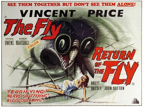 1969 British Double Feature Poster — The Fly 1958 And Return Of The Fly