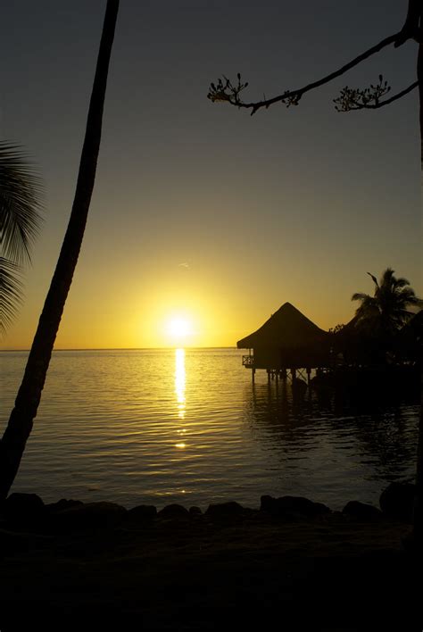 Tahiti Gorgeous Sunset Sunset Nature Beautiful Sunrise