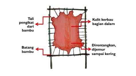 Apa Itu Tulangan Sengkang Dan Cara Menghitungnya Rezfoods Resep Hot Sex Picture