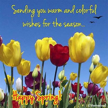 Spring Colorful Warm Flowers Wishes Happy Wish