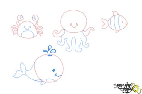 How To Draw Ocean Animals Drawingnow