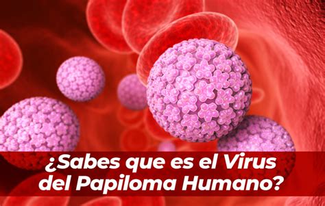 Sabes Que Es El Virus De Papiloma Humano Hablemos De Salud Gobierno Gob Mx