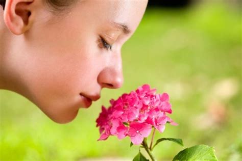 Human Sense Of Smell Is More Acute Than Most People Think — Science