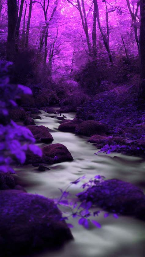 Download Free 100 Purple Nature Wallpapers