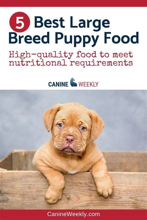 Top 5 wet puppy foods. 10 Best Large Breed Puppy Food Picks of 2021 | Canine ...