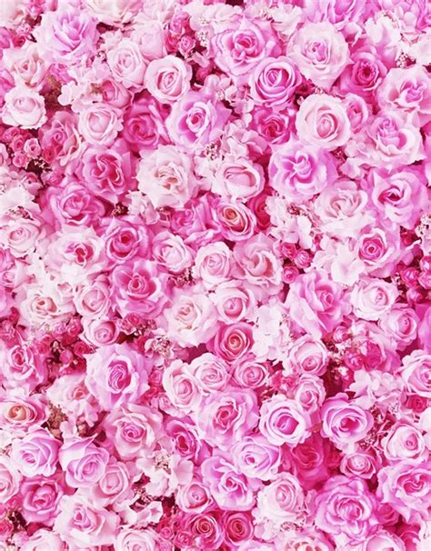 Fantasy Vinyl Cloth Pink Rose Flower Wallpaper Photography Backdrop For