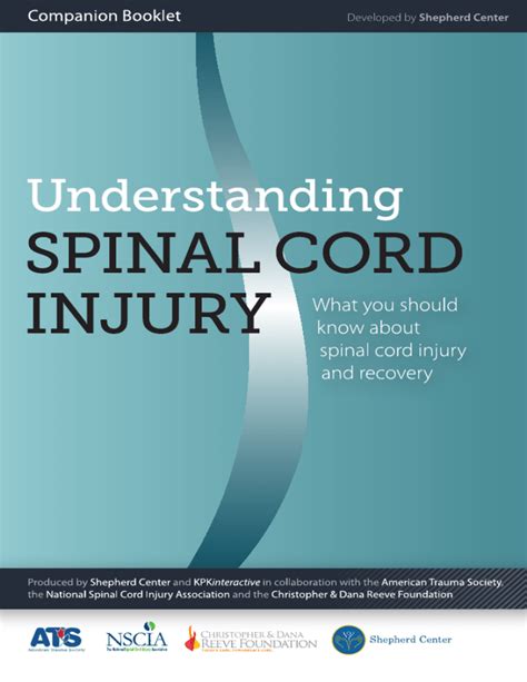 View Companion Booklet As A Pdf Understanding Spinal Cord Injury