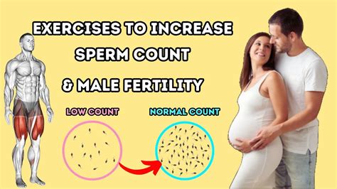 Increase Sperm Count And Male Fertility Youtube