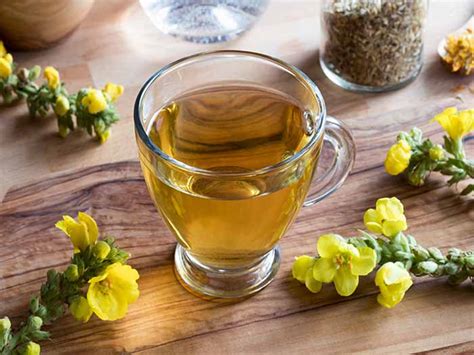 Benefits And Side Effects Of Mullein Tea Organic Facts