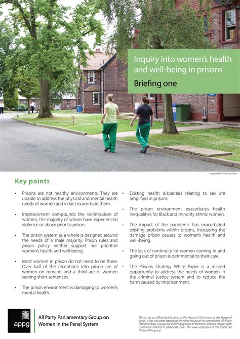 The Howard League Inquiry Into Womens Health And Well Being In Prisons