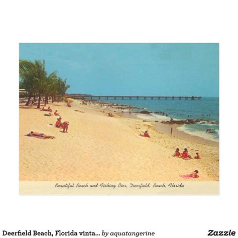 Deerfield Beach Florida Vintage Beach Scene Postcard In