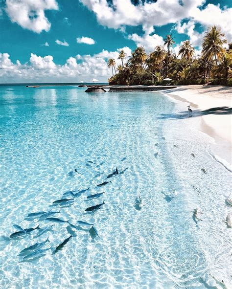 5 gorgeous beaches with the clearest water in the world 2021 most beautiful beaches in the world