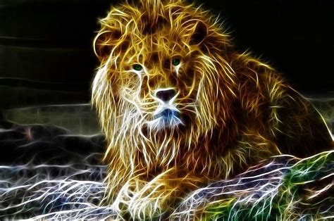 Fractal Lion Fractals Fractal Art Cat Art
