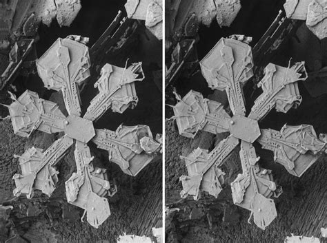 Snow Flake Under Electron Microscope Scanning Electron Microscope