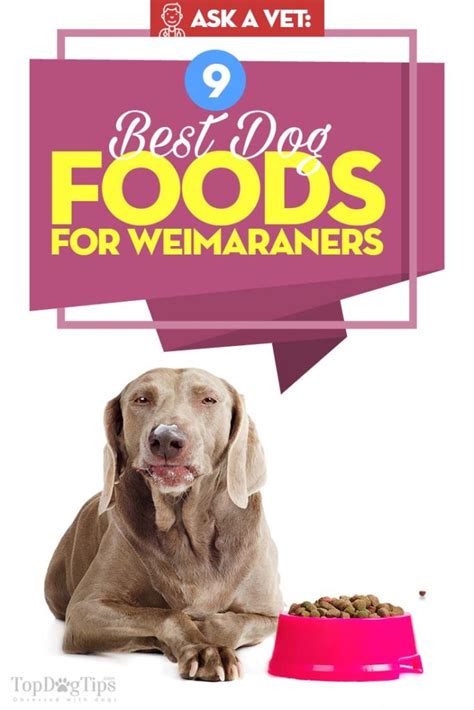Veterinarian recommended dry kitten food that's specially formulated for indoor cats. Best Dog Food for Weimaraner in 2020: Top 9 Vet ...